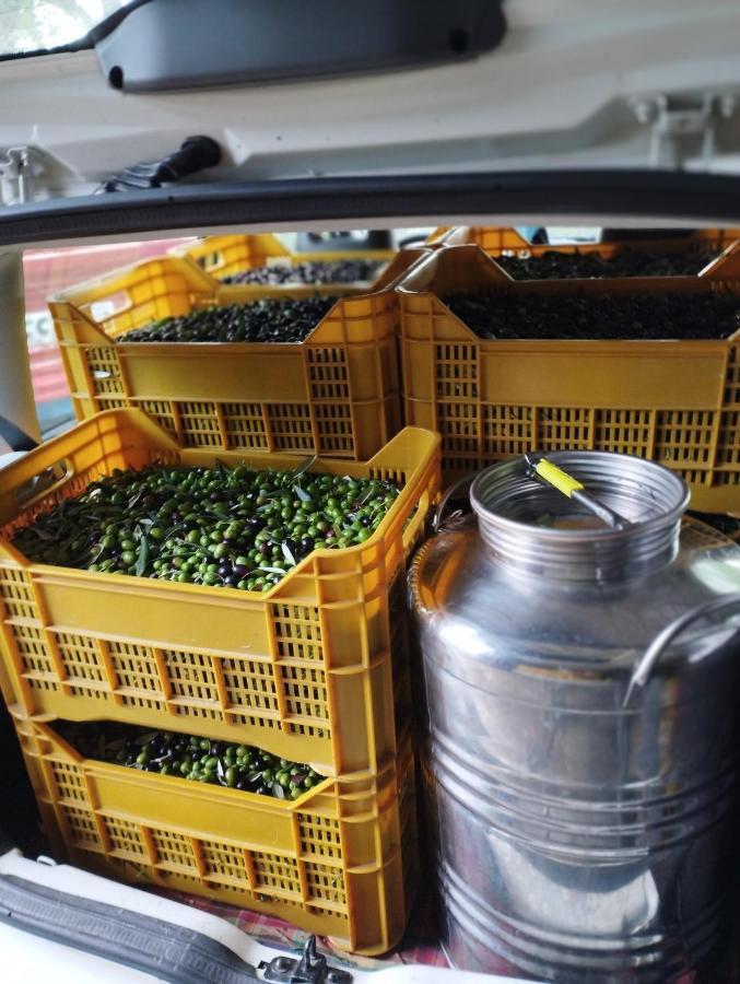 Subbiano Casa Renacciヴィラ エクステリア 写真